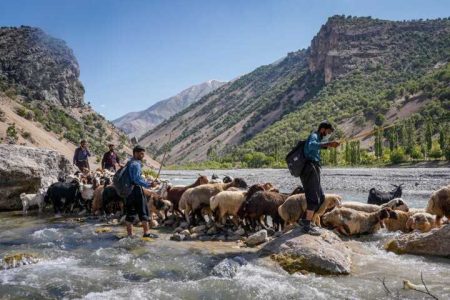 تامین آب شرب عشایر تهران/ کلنگ زنی انبار نهاده های دامی عشایر در شهرستان شمیرانات پس از 20 سال