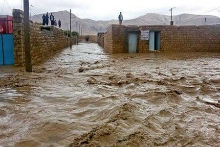 ارائه بیش از ۲۵۰۰خدمت دامپزشکی در مناطق سیل زده سیستان و بلوچستان - خبرگزاری مهر | اخبار ایران و جهان