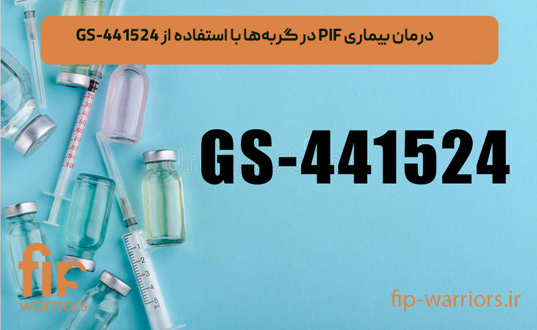 بیماری بیماری FIP در گربههای خانگی: آیا درمان قطعی برای آن در ایران وجود دارد؟