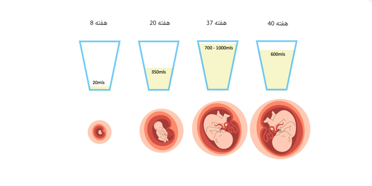 میزان نرمال آمنیوتیک، ماه های مختلف بارداری