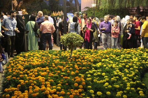 گیاه | مشهد نمایشگاه گل و گیاه مشهد، برندی ملی در حوزه فضای سبز و باغبانی است
