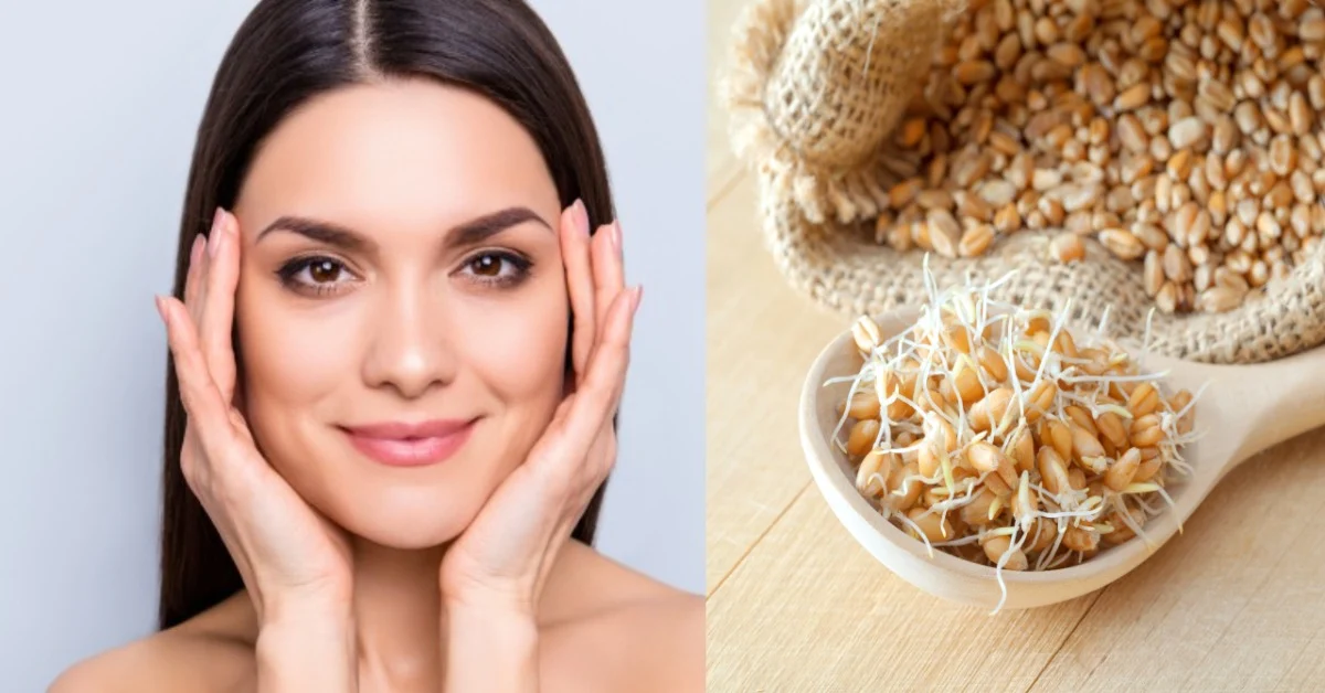 بهترین مارک جوانه گندم برای چاقی صورت و افزایش وزن