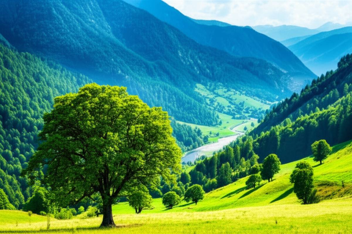 جاذبه های دیدنی اطراف ییلاق درخت جوز: راهنمای کامل سفر